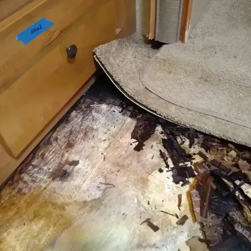 Wood Floor Water Damage in Sunnyslope, CA